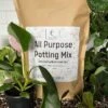 Elm Dirt All-Purpose Potting Mix -Selected Garden & Outdoor Stores IMG 5165 1