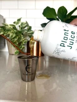 Elm Dirt Plant Juice 6 Elm Dirt Plant Juice -Selected Garden & Outdoor Stores IMG 6513