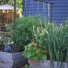 Freyr Trellis By Seattle Urban Farm Company -Selected Garden & Outdoor Stores charcoal