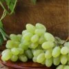 Gratitude Seedless Grape 1 Gratitude Seedless Grape -Selected Garden & Outdoor Stores gratitude grape