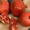Red Silk Pomegranate -Selected Garden & Outdoor Stores httpraintreenursery.netpd491 01