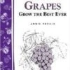 Great Grapes -Selected Garden & Outdoor Stores httpraintreenursery.netps180