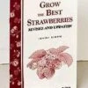 Grow The Best Strawberries -Selected Garden & Outdoor Stores httpraintreenursery.netps200