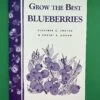 Grow The Best Blueberries -Selected Garden & Outdoor Stores image 590a5192 6d87 44ea 935d 55ba56a62e2c 1