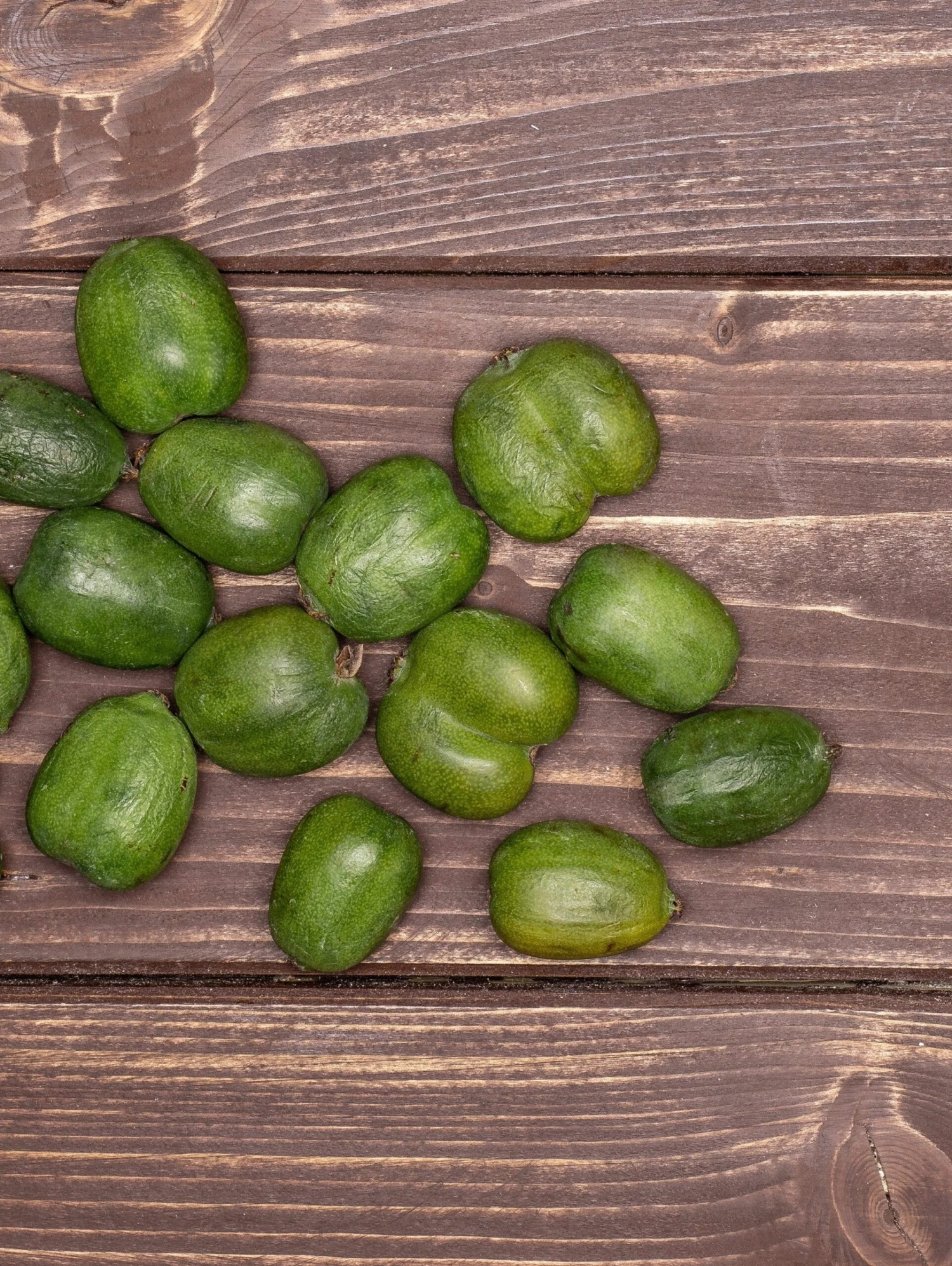 Chang Bai Hardy Kiwi 3 Chang Bai Hardy Kiwi