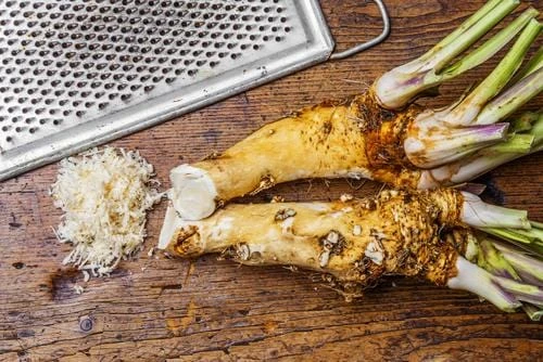 Horseradish 3 Horseradish