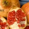 Sweet Pomegranate -Selected Garden & Outdoor Stores sweet