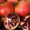 Wonderful Pomegranate -Selected Garden & Outdoor Stores wonderful
