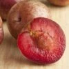 Combo Zee Sweet Pluot Tree (4 Varieties) -Selected Garden & Outdoor Stores zee sweet pluot 1 1